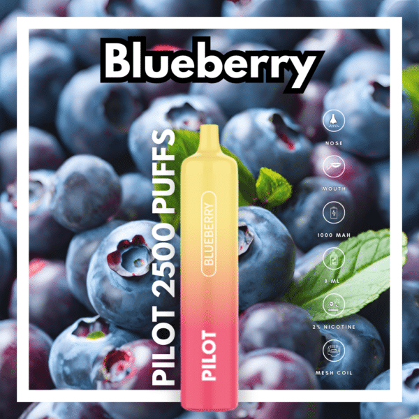Pilot2500 Blueberry Flavor