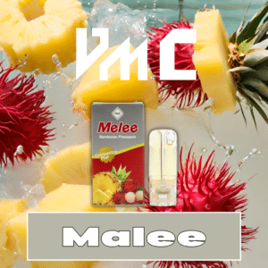 VMC Pod Rambutan Pineapple Flavor