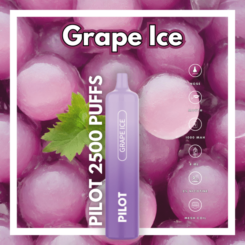 Pilot2500 Grape Ice Flavor